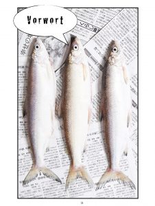 Fische auf japanischer Zeitung